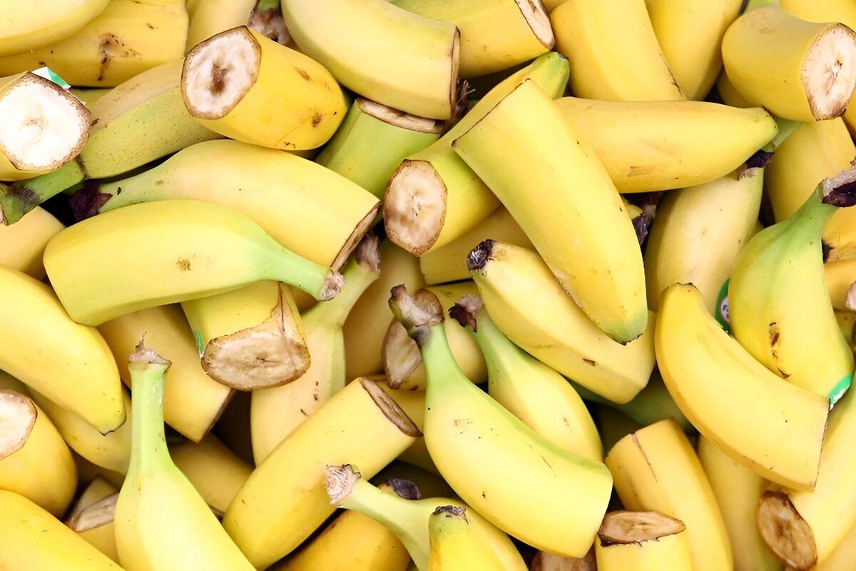 ¿Podrá un avance científico salvar al plátano de la extinción?