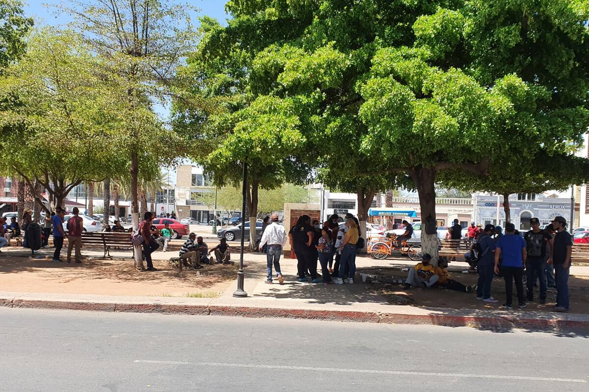 Unión de Pepenadores espera que Ayuntamiento apruebe sus peticiones