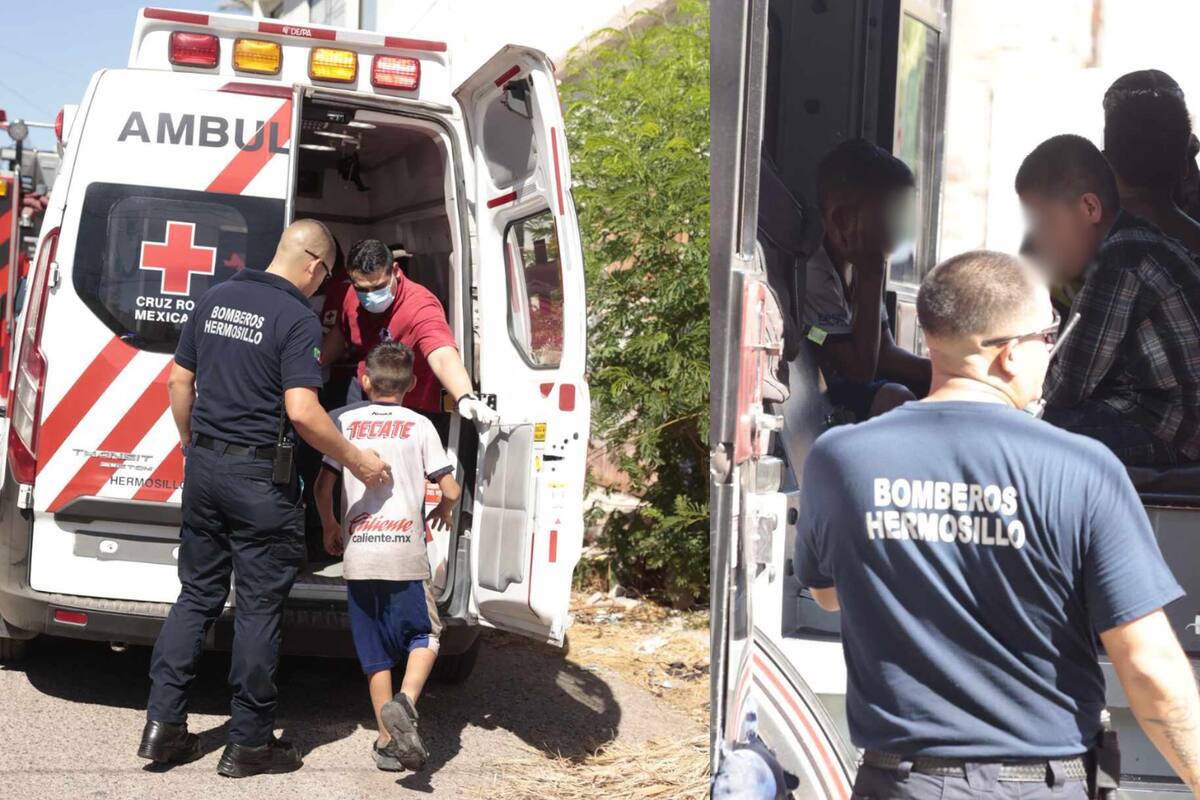 3 menores de edad son atacados por abejas