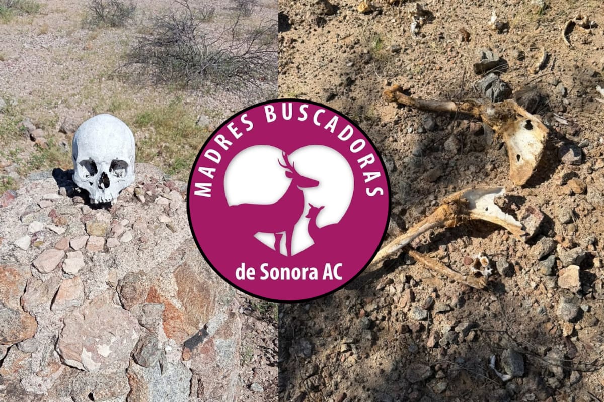 Madres Buscadoras de Sonora localizan dos cráneos humanos y restos óseos en un predio privado de la carretera 26