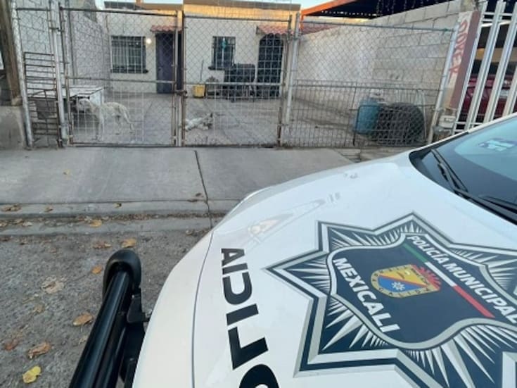 Sancionan vivienda por dos perros en estado de desnutrición