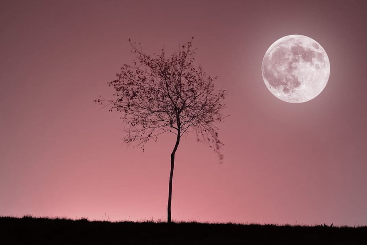 Abril trae la “Luna Rosa”, la primera Luna llena de la primavera en un 2026 lleno de fenómenos astronómicos