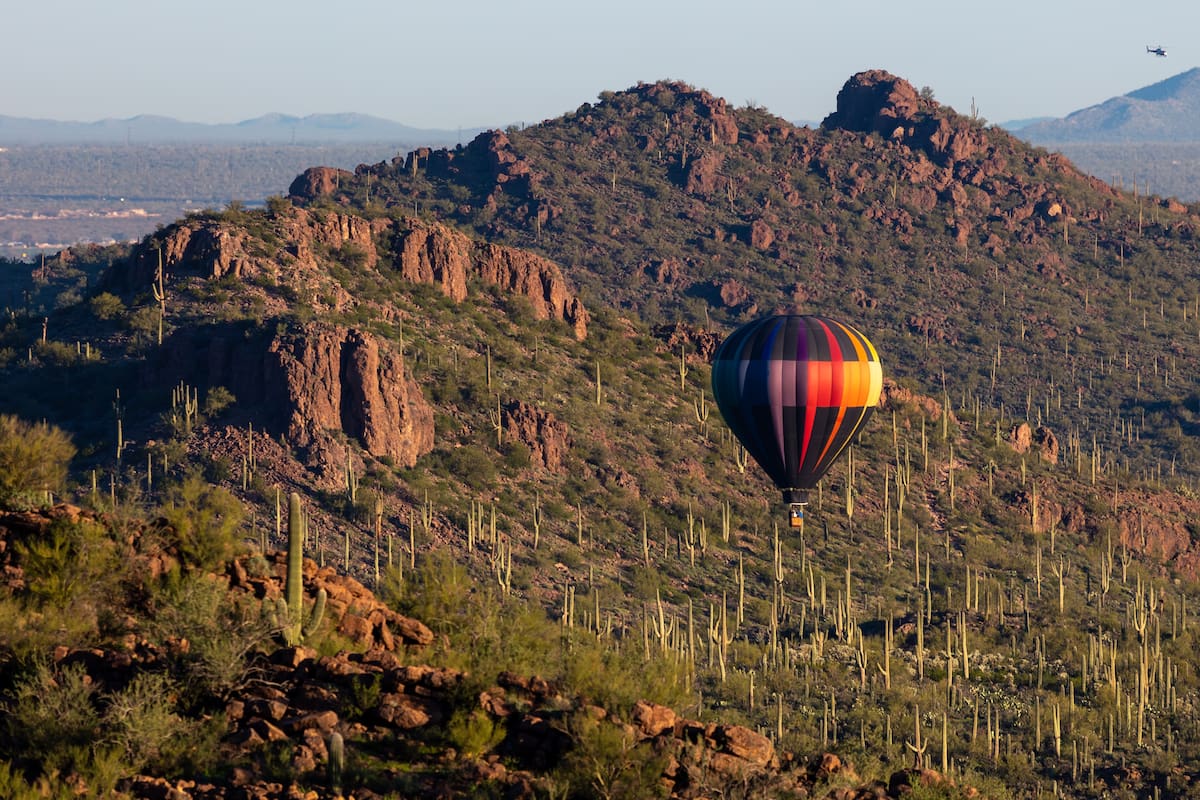 Conoce la vida silvestre desde las alturas a bordo de un globo aerostático