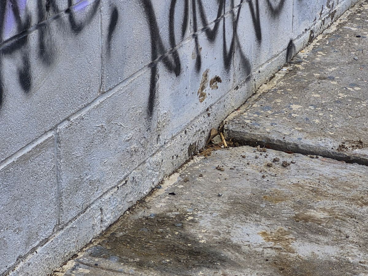 Enrique Gamboa denunció que el pluvial ubicado junto al bulevar Federico Benítez López, en el Fraccionamiento Moreno, presenta acumulación de basura, desgaste del terreno y daños que podrían aumentar el riesgo de inundaciones durante las lluvias. Foto: Michelle Castillo