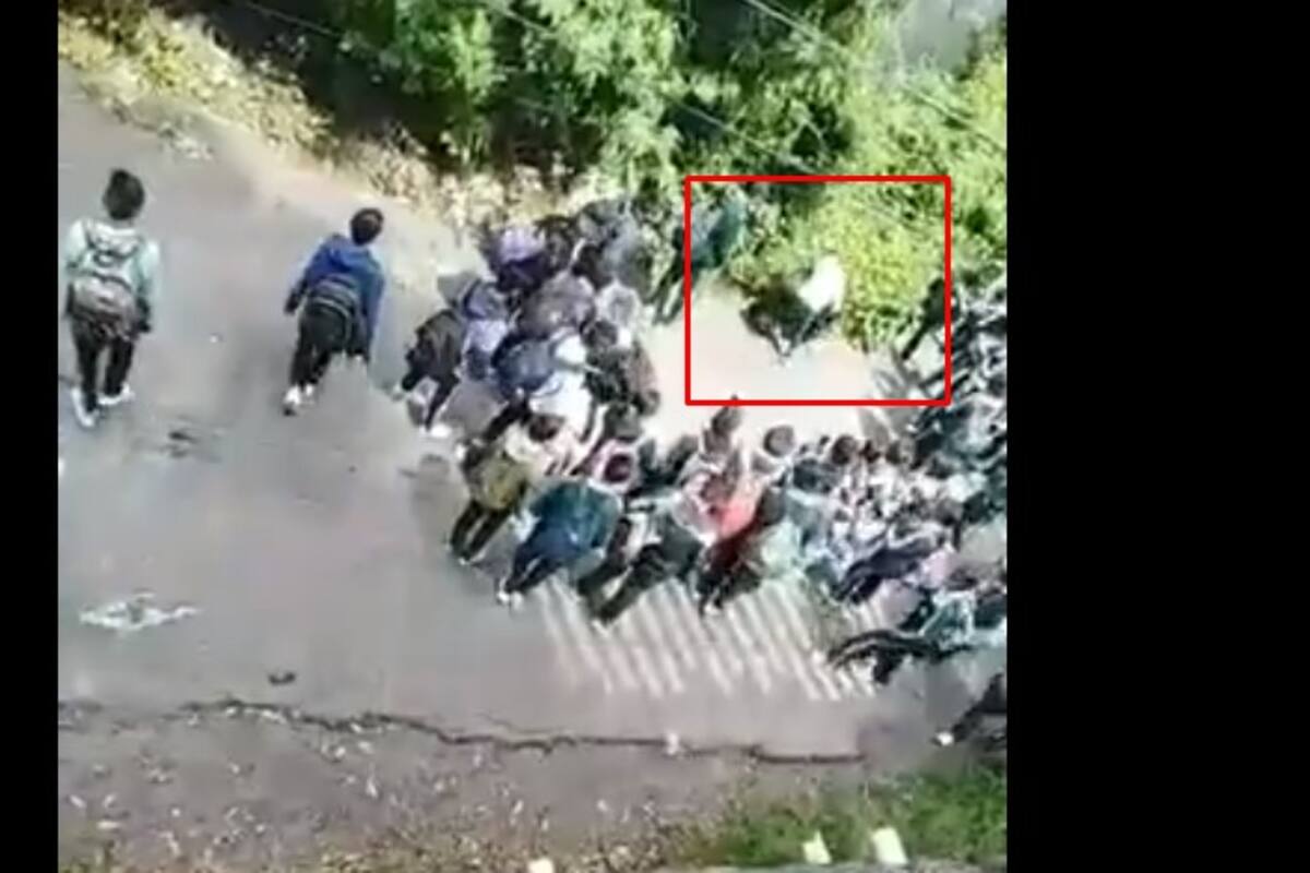 VIDEO: Captan fuerte pelea entre jovencitas de secundaria
