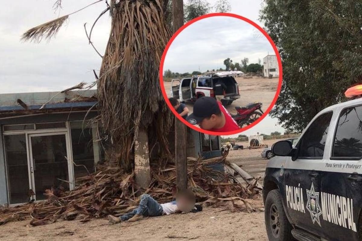 Persona cae de palmera en el valle de San Luis Río Colorado