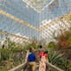 Biosphere 2 en Arizona: el increíble laboratorio que debes visitar cerca de Tucson