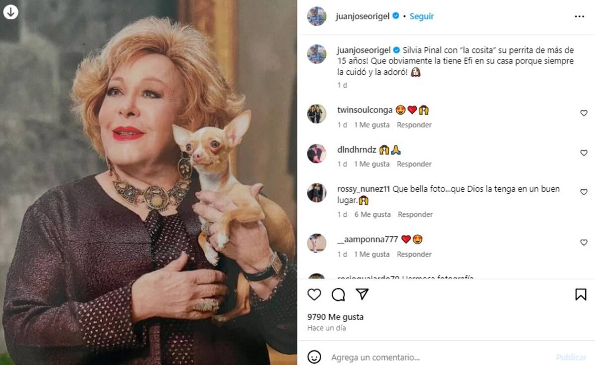"Cosita" quedará al cuidado de Efigenia Ramos / Instagram: @juanjoseorigel