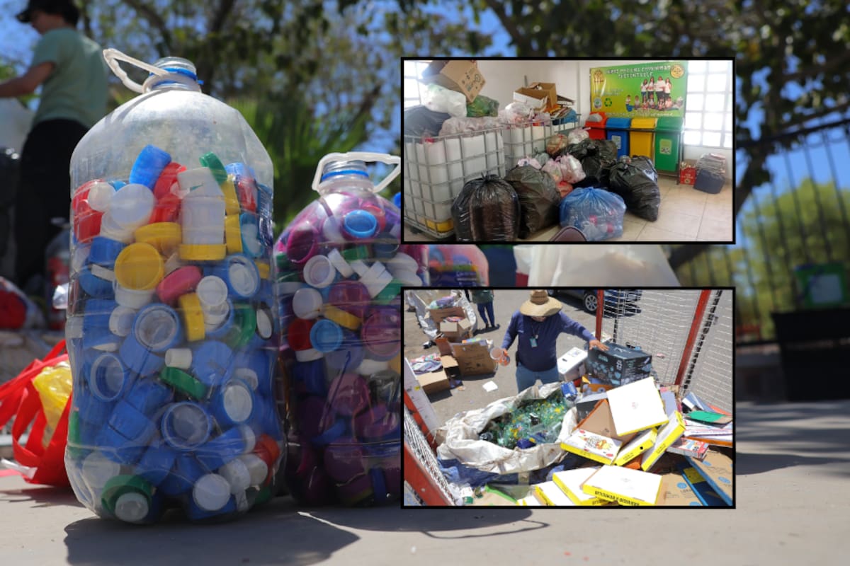 Llevan 15 toneladas de residuos reciclables a los reciclacentros