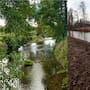 Un agricultor deberá pagar 700 mil euros tras derribar 71 árboles y provocar daños ambientales que tardarán hasta 30 años en repararse