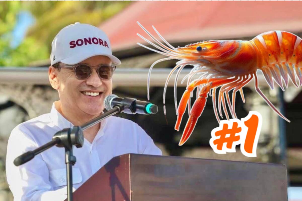 Sonora lidera a nivel nacional en producción de camarón de cultivo en 2024