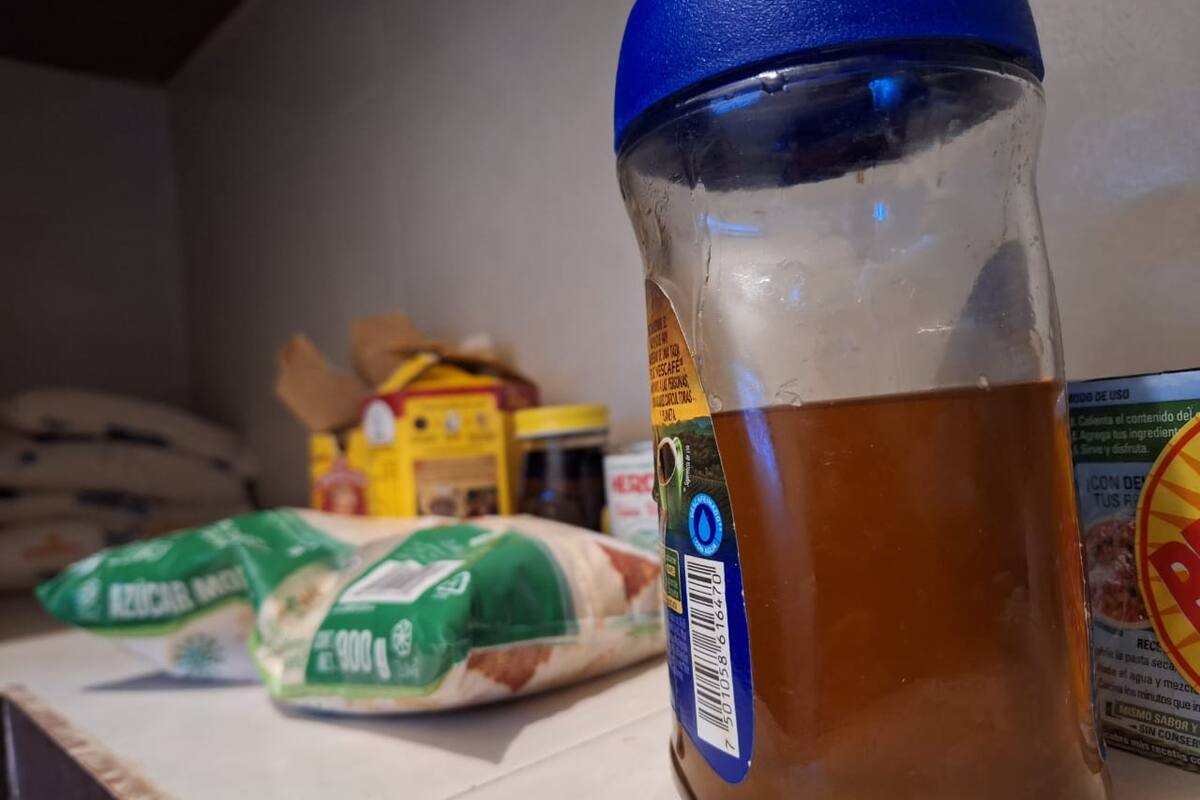 Afecta a apicultores de Sonora venta de miel adulterada