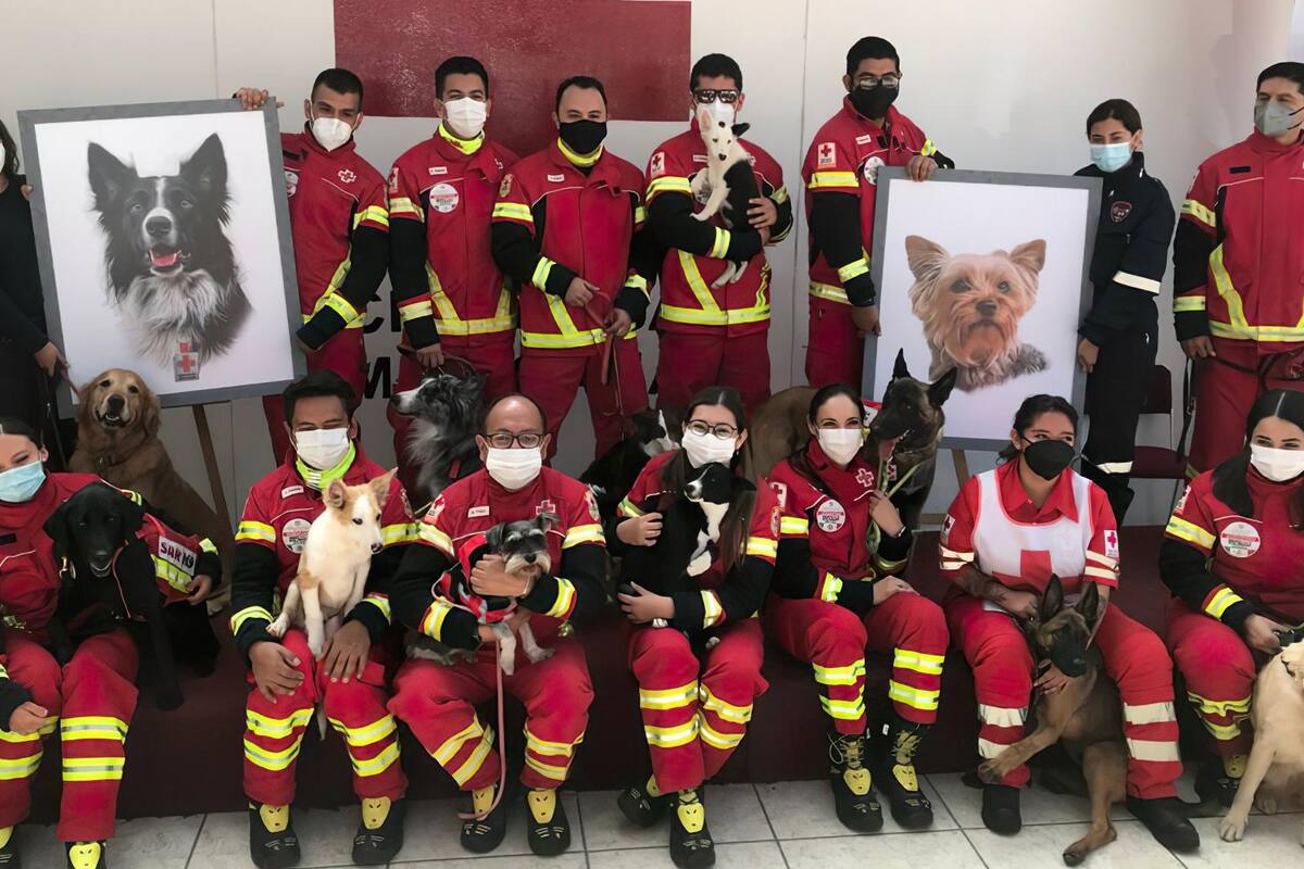 Cruz Roja realiza homenaje a los dos perritos rescatistas que fueron envenenados en Querétaro