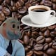 Dr. Simi entra al negocio del café y va por 20 sucursales