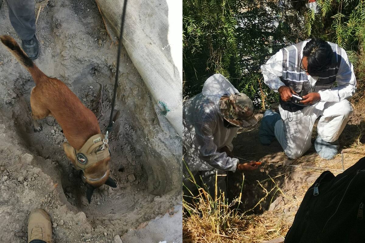 El binomio canino K-9 “Tiana” detectó un aroma en uno de los pozos, lo que condujo al descubrimiento de una osamenta.