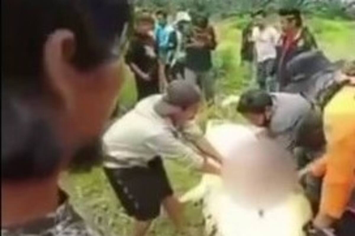 VIDEO: Enorme cocodrilo devora a niño de ocho años en Indonesia
