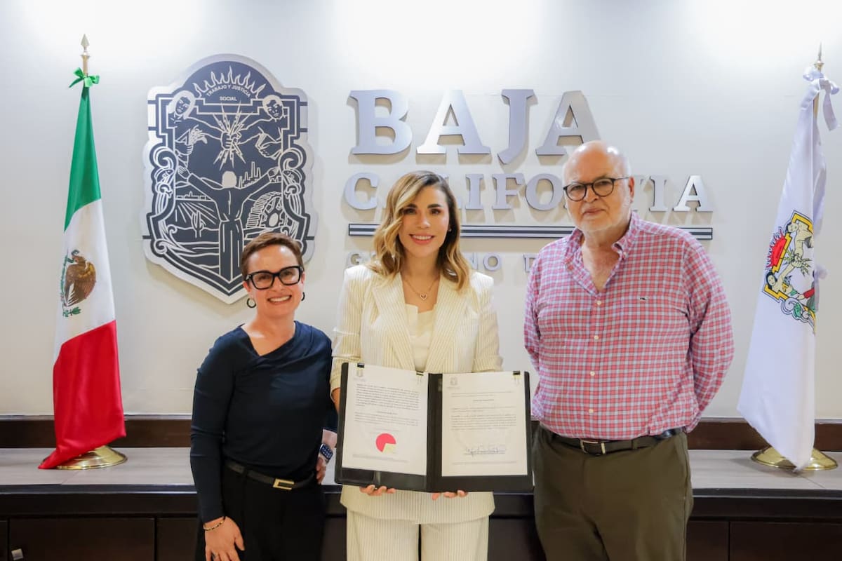 Promueve protección de industria vitivinícola