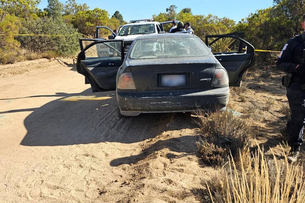 Atacan a balazos a agentes estatales rumbo a Laguna Hanson; aseguran arsenal y detienen a presunto agresor