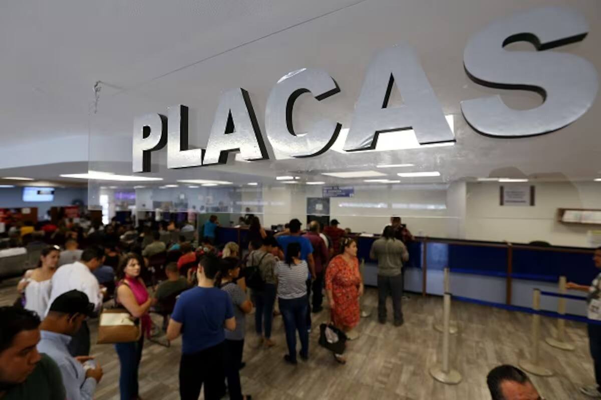 Revalidan su tarjeta de circulación el 75% en el 2024