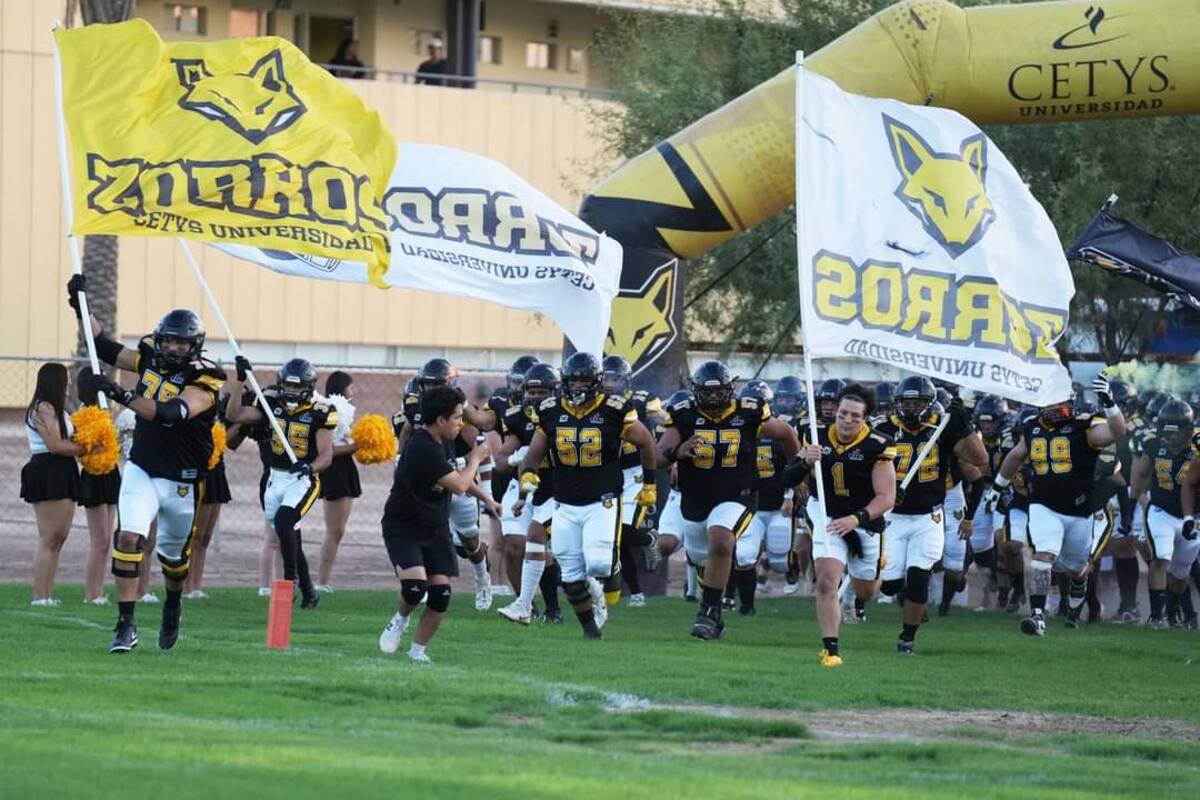 Zorros va por la historia en la ONEFA