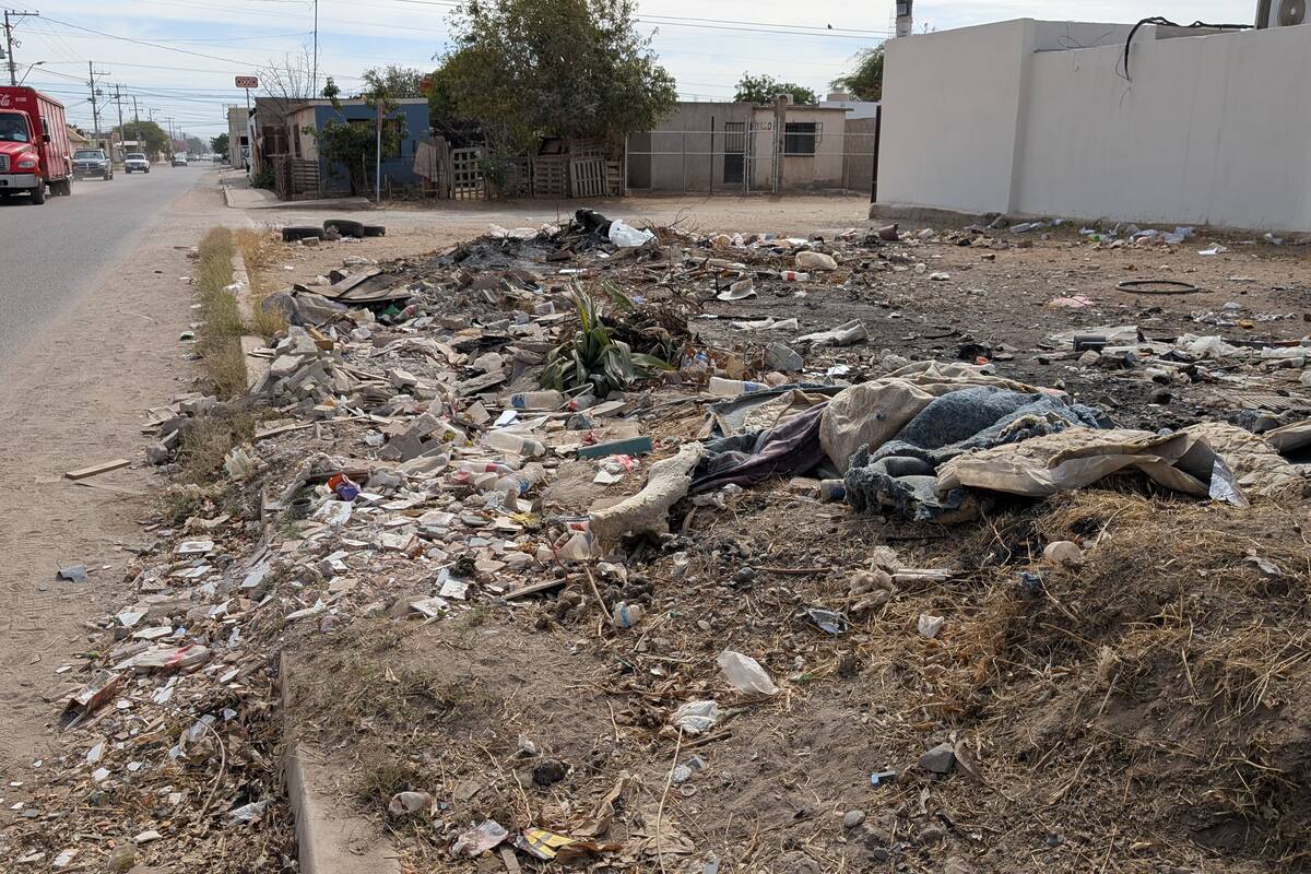 Pueden multar hasta con casi 17 mil pesos a quienes tiran basura en la vía pública