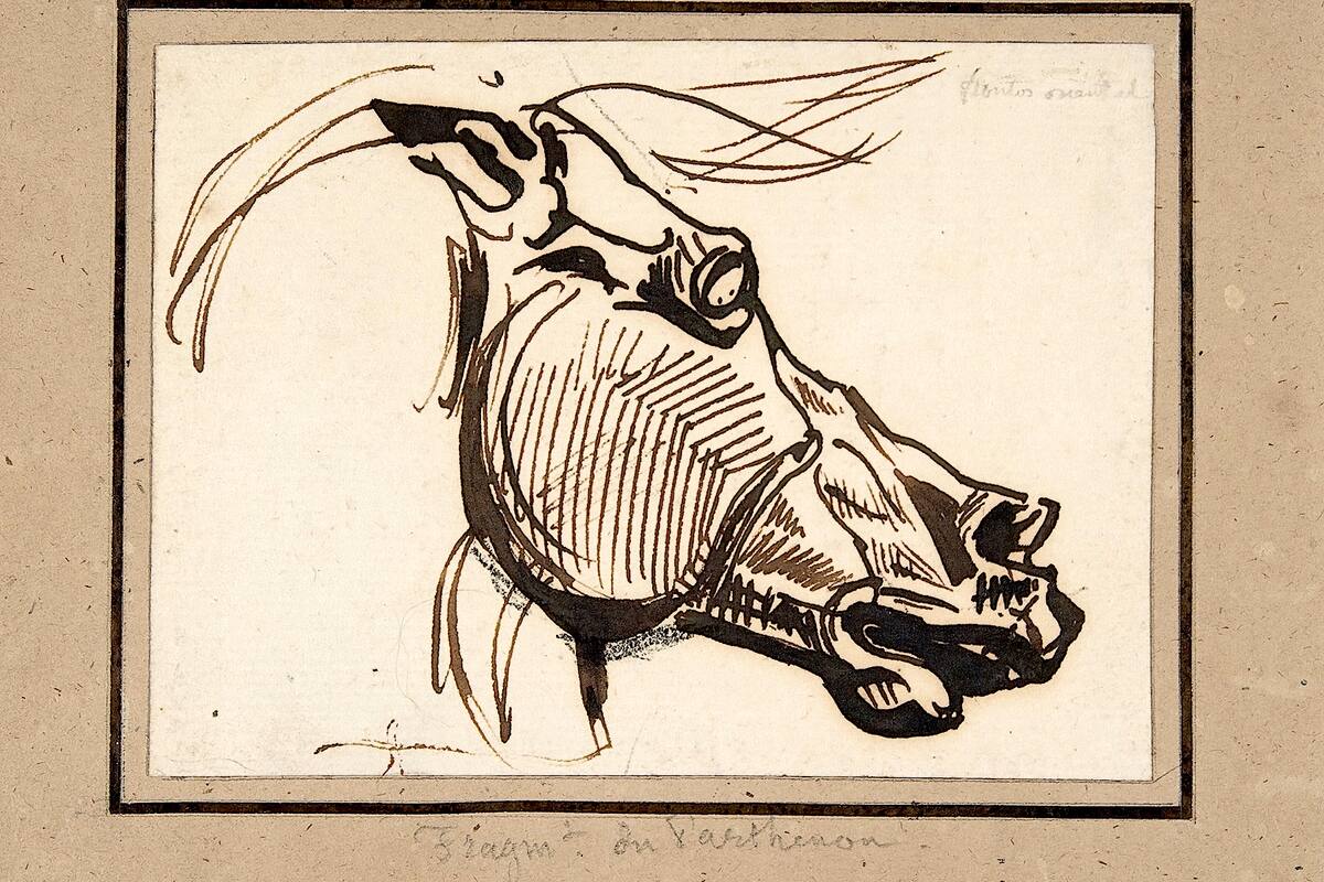 La cabeza de caballo que fascinó a Delacroix