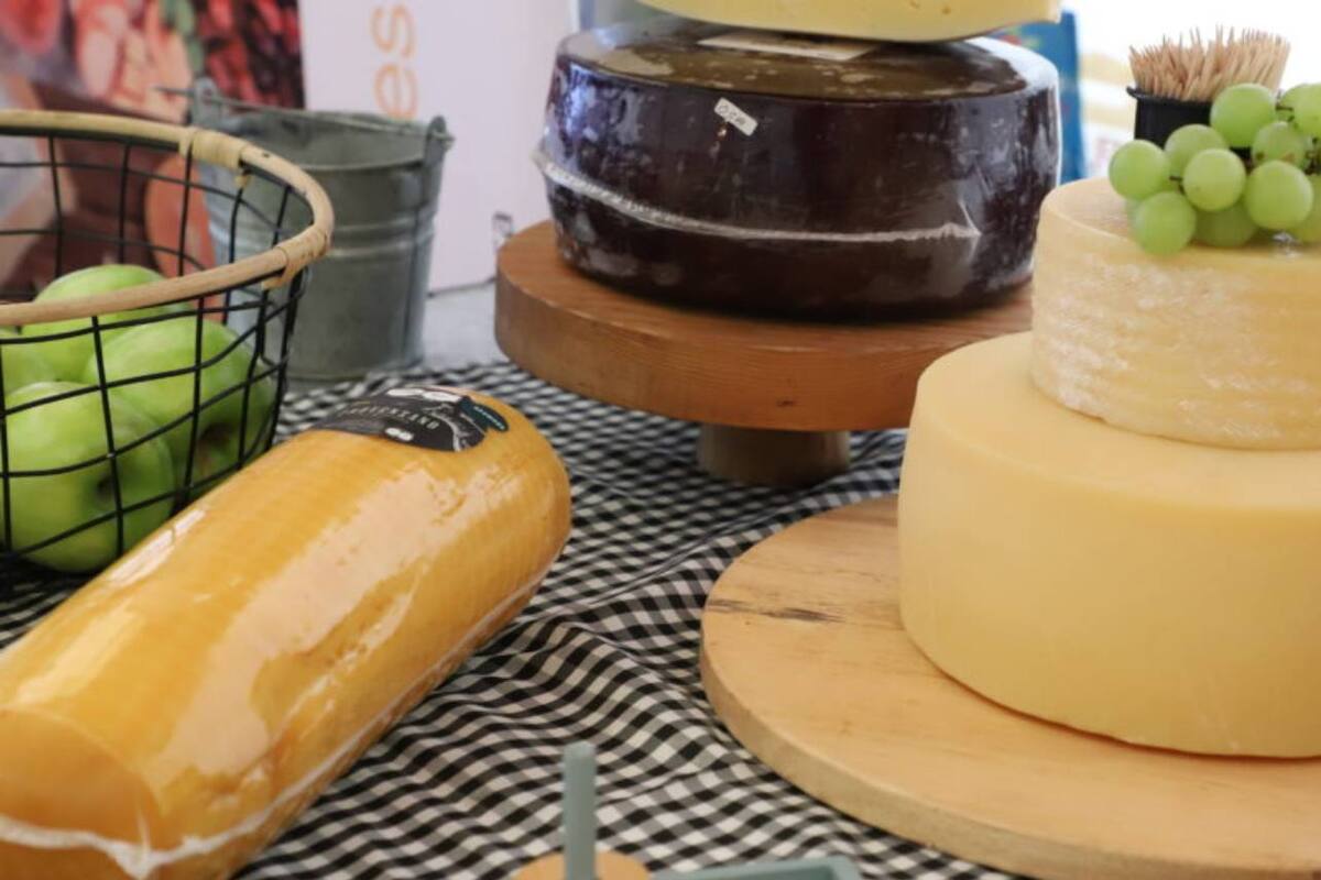 Querétaro será sede del primer concurso 'Tapas de las Américas'