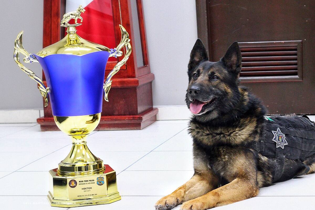 Binomio K9 gana 1er. lugar en Conferencia Nacional de Perro Policía 2019