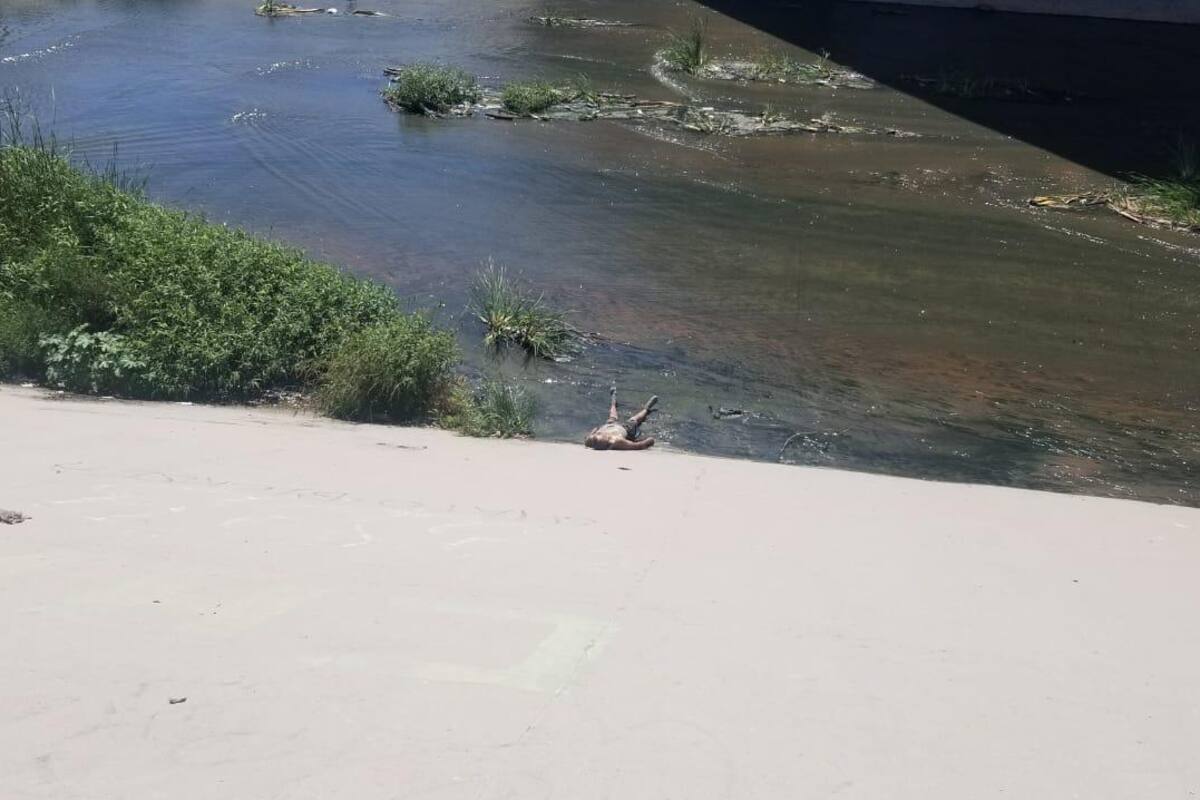 Hallan persona sin vida en la canalización del Río Tijuana