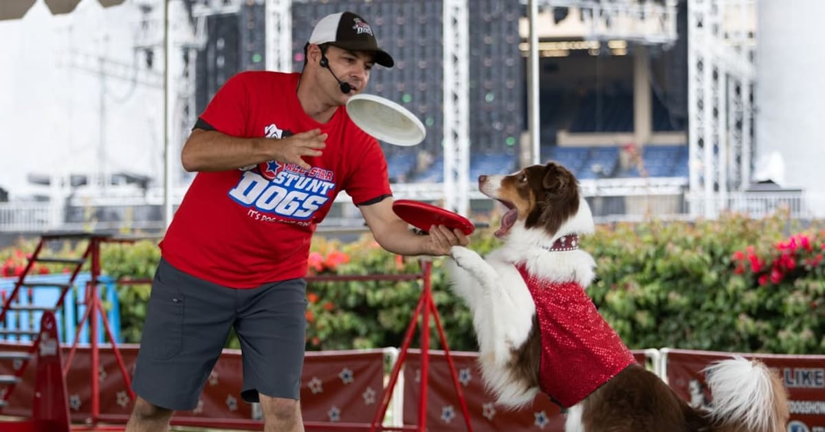 Ya está en curso, hay muchas actividades para disfrutar en familia hasta el 6 de julio. Foto: Cortesía