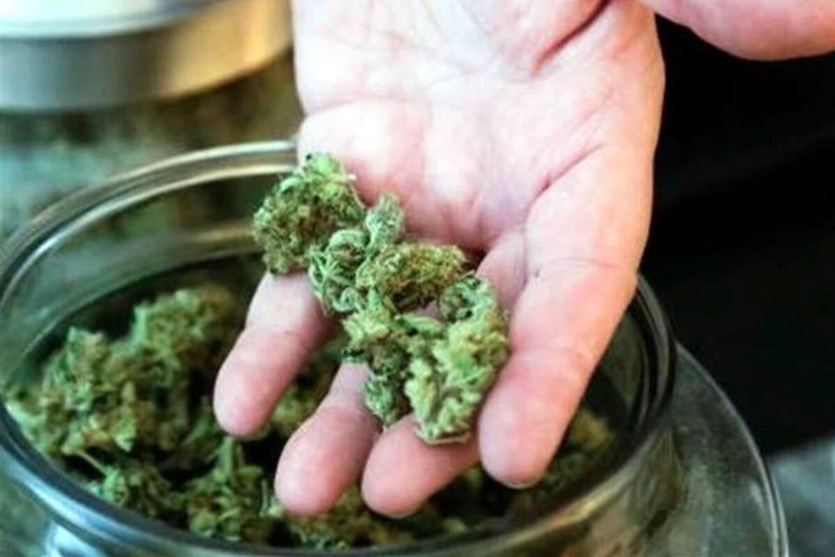 Pretenden eliminar límite a portación de mariguana