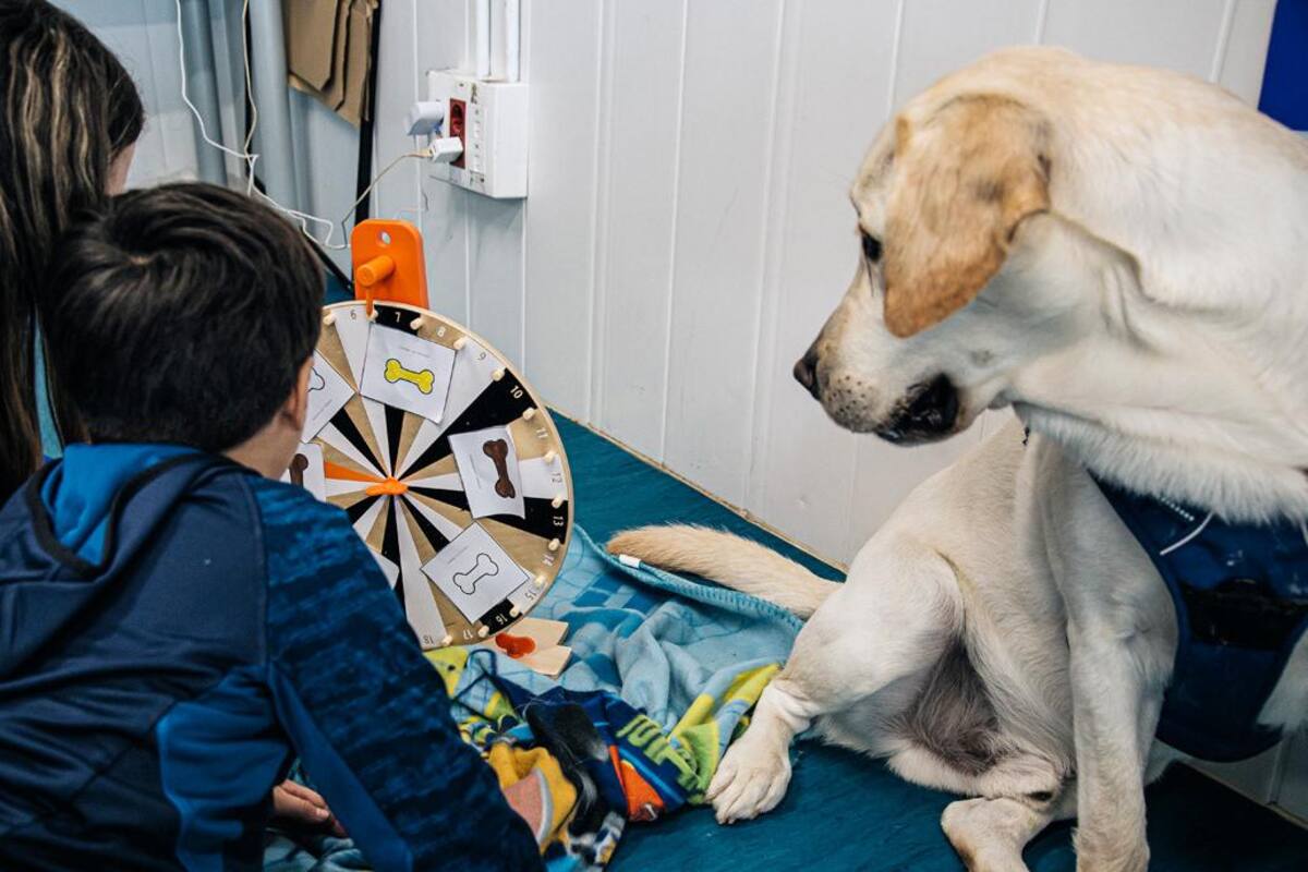 Los beneficios de tener un perro en la vida de un niño autista