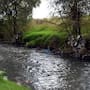 Los ríos Santiago, Atoyac, Tula y Tijuana enfrentan problemas de contaminación por aguas residuales y descargas industriales, con estudios que documentan sustancias químicas, daños en el ADN de habitantes de zonas cercanas y gases que deterioran la calidad del aire