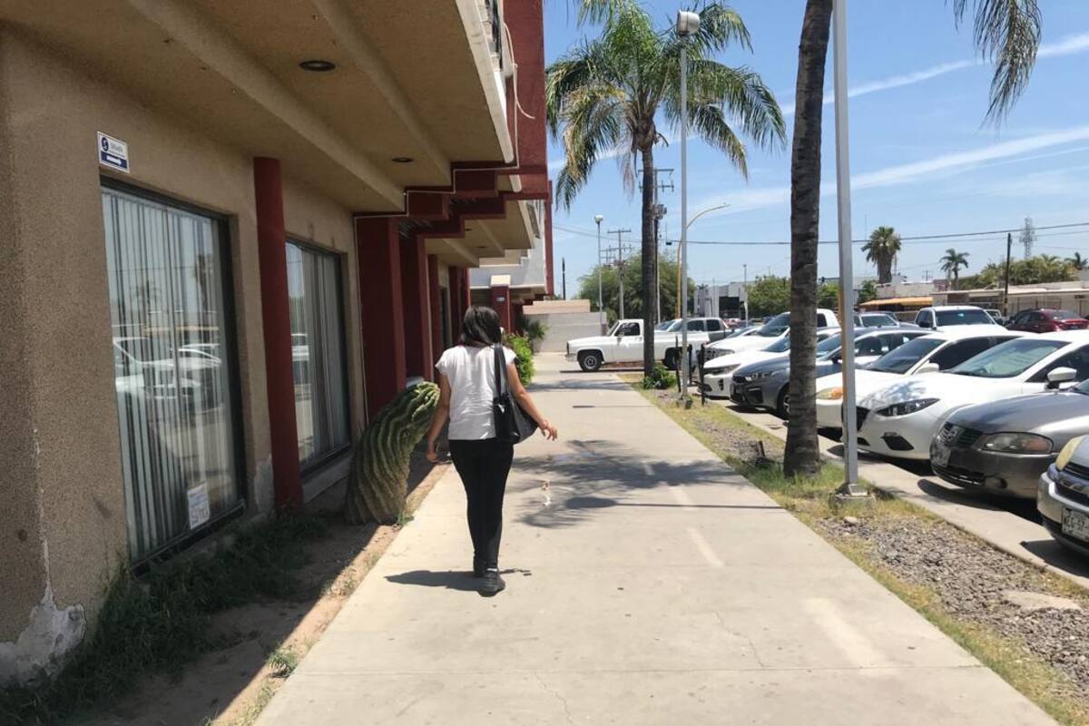 Aplicarán multas por tirar basura en la vía pública
