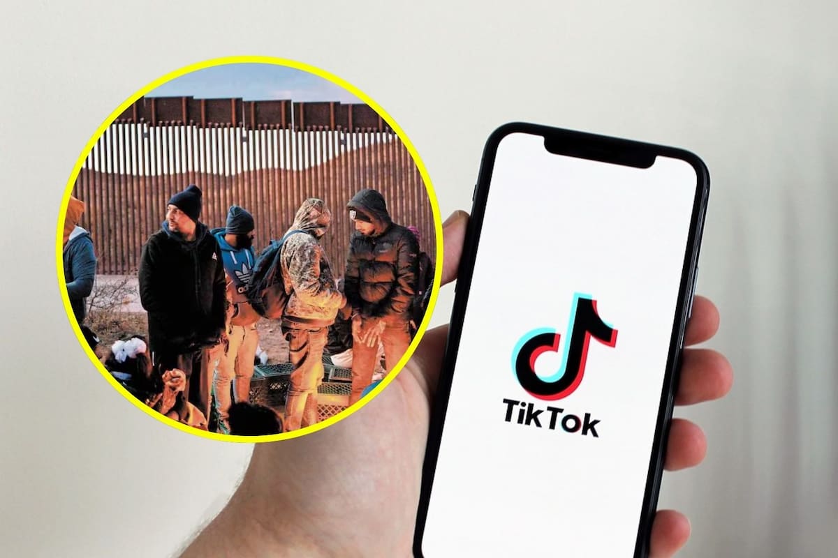 “Polleros” usan TikTok para promocionar sus servicios de forma abierta