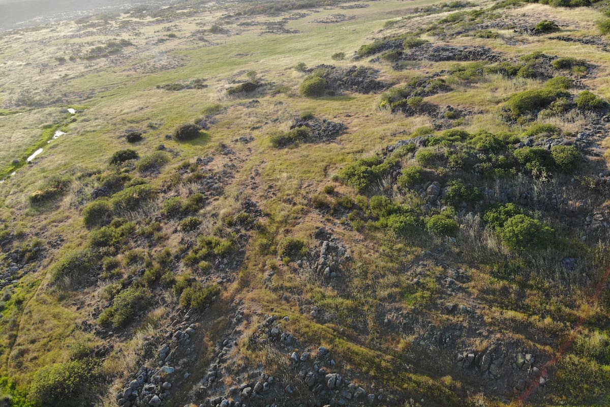 Exigen transparencia en el proceso de evaluación del Bypass Tijuana-Ensenada