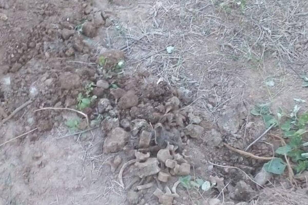 Localizan "rastreadoras" dos osamentas en el Campo 30