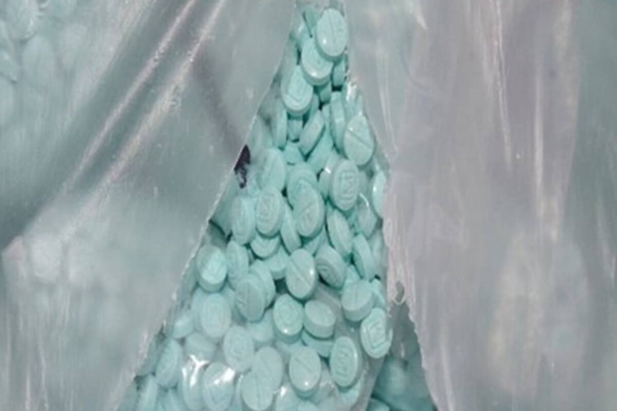 Ejército desmantela siete laboratorios de metanfetamina en Sinaloa; se han desmantelado 702 laboratorios en México durante este sexenio