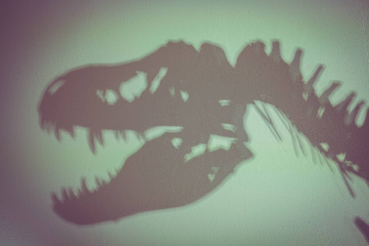 ¿Cómo murieron realmente los dinosaurios? La teoría fascinante que no involucra asteroides