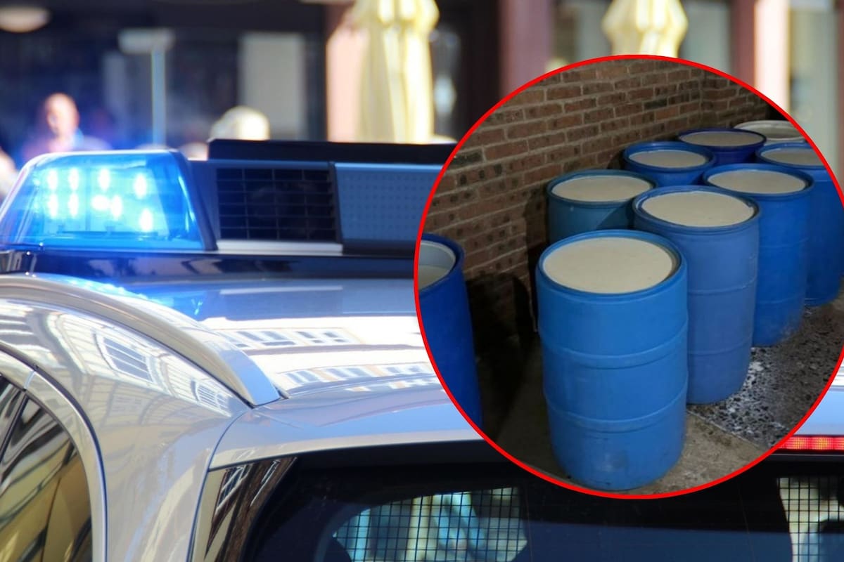 “Lechicoleo”: el nuevo negocio del crimen organizado en Guanajuato