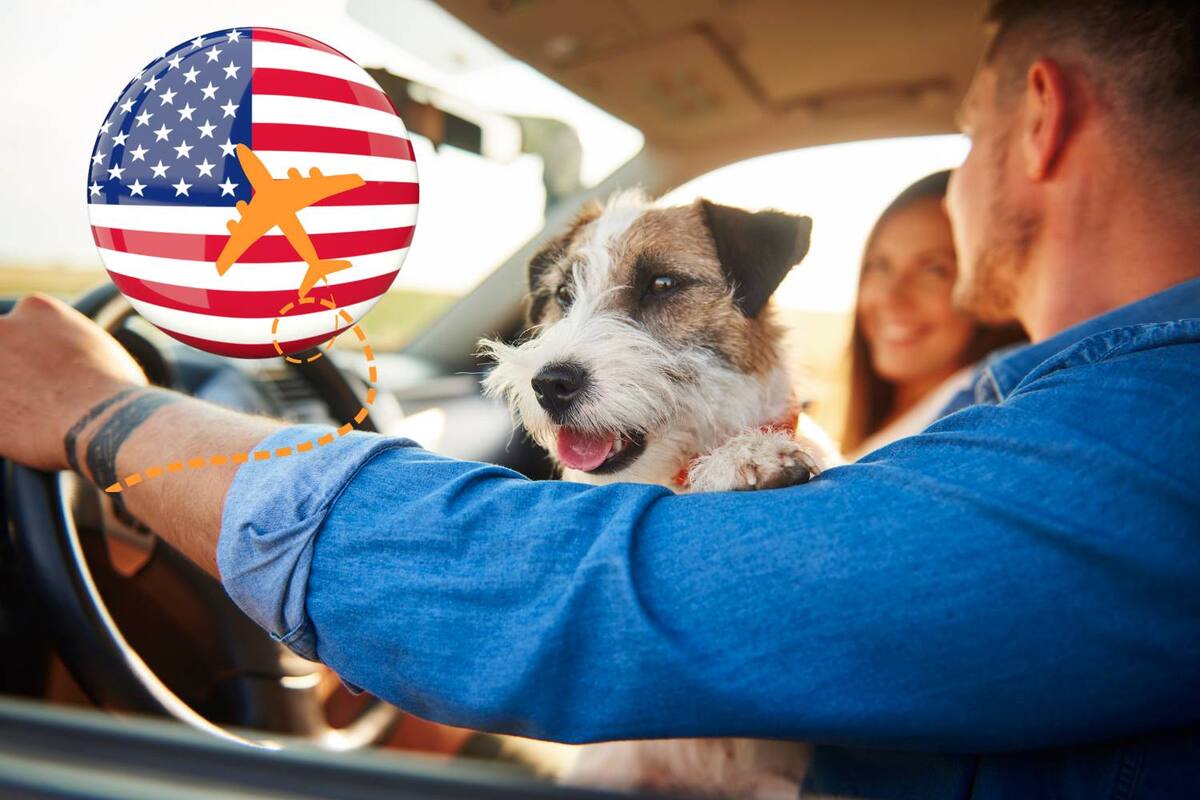 ¿Cuáles son los requisitos para viajar con mi mascota a Estados Unidos en 2025?