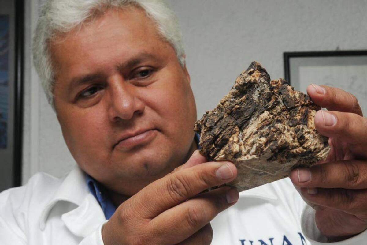 NASA nombrará lugar en Marte en honor al científico mexicano Rafael Navarro