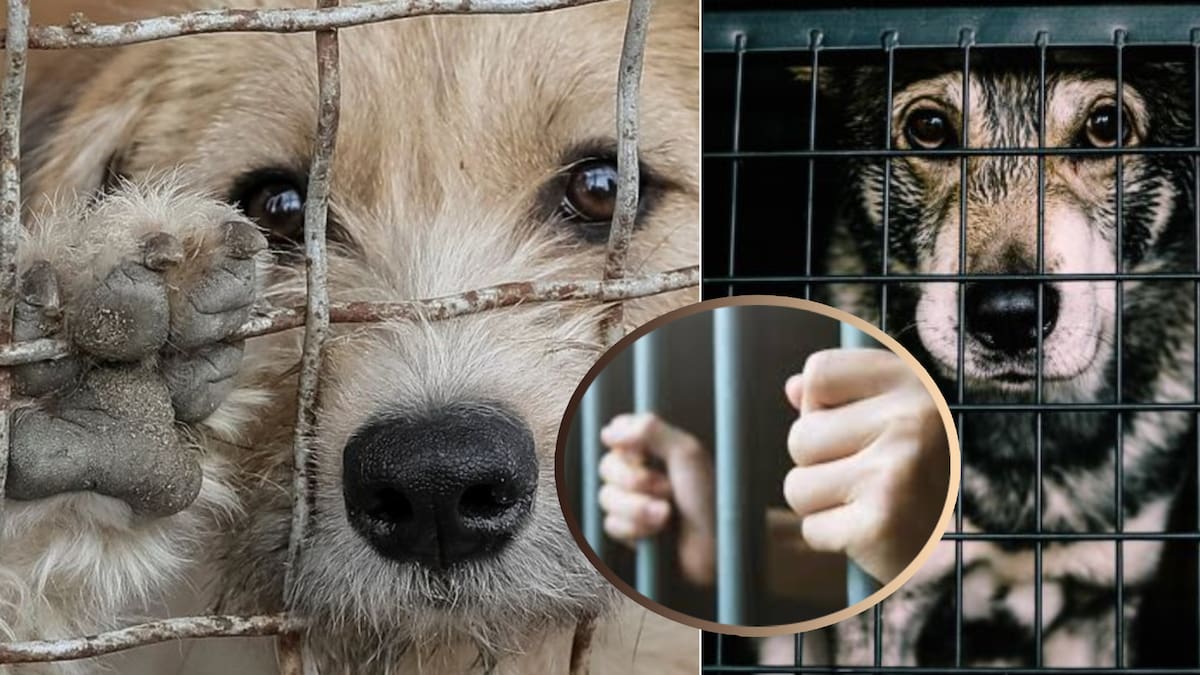 El director subrayó que las sanciones aplicadas por estos casos van desde las 10 hasta las 50 Unidades de Medida y Actualización (UMA), lo que equivale aproximadamente a entre mil y cinco mil pesos.