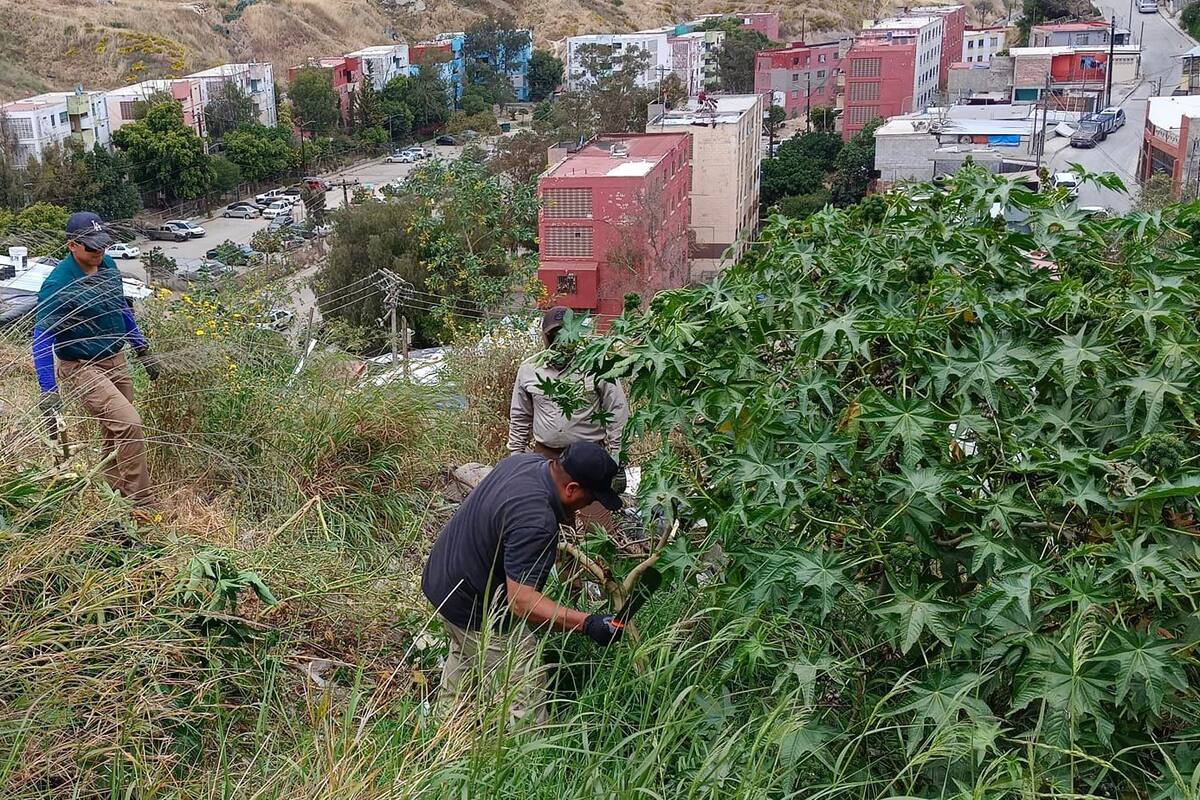 Localiza colectivo de búsqueda a joven desaparecida hace tres años