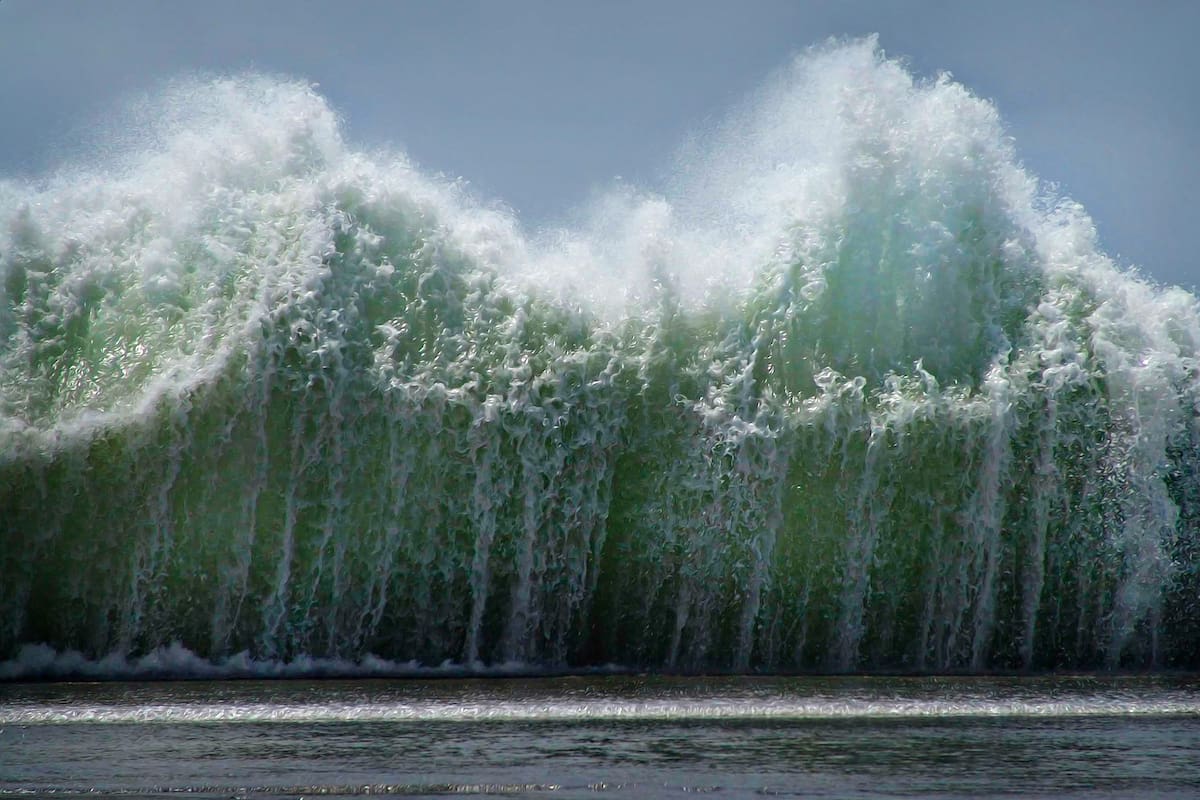 La historia de la niña que salvó a más de 100 personas por una lección de ciencias