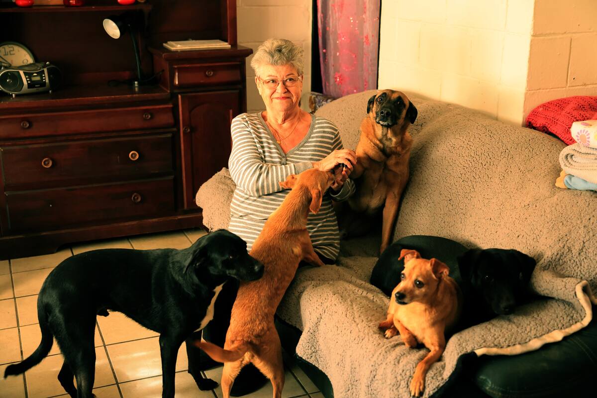 Claudine busca hogar para sus 8 perritos para poder regresar a su natal Francia