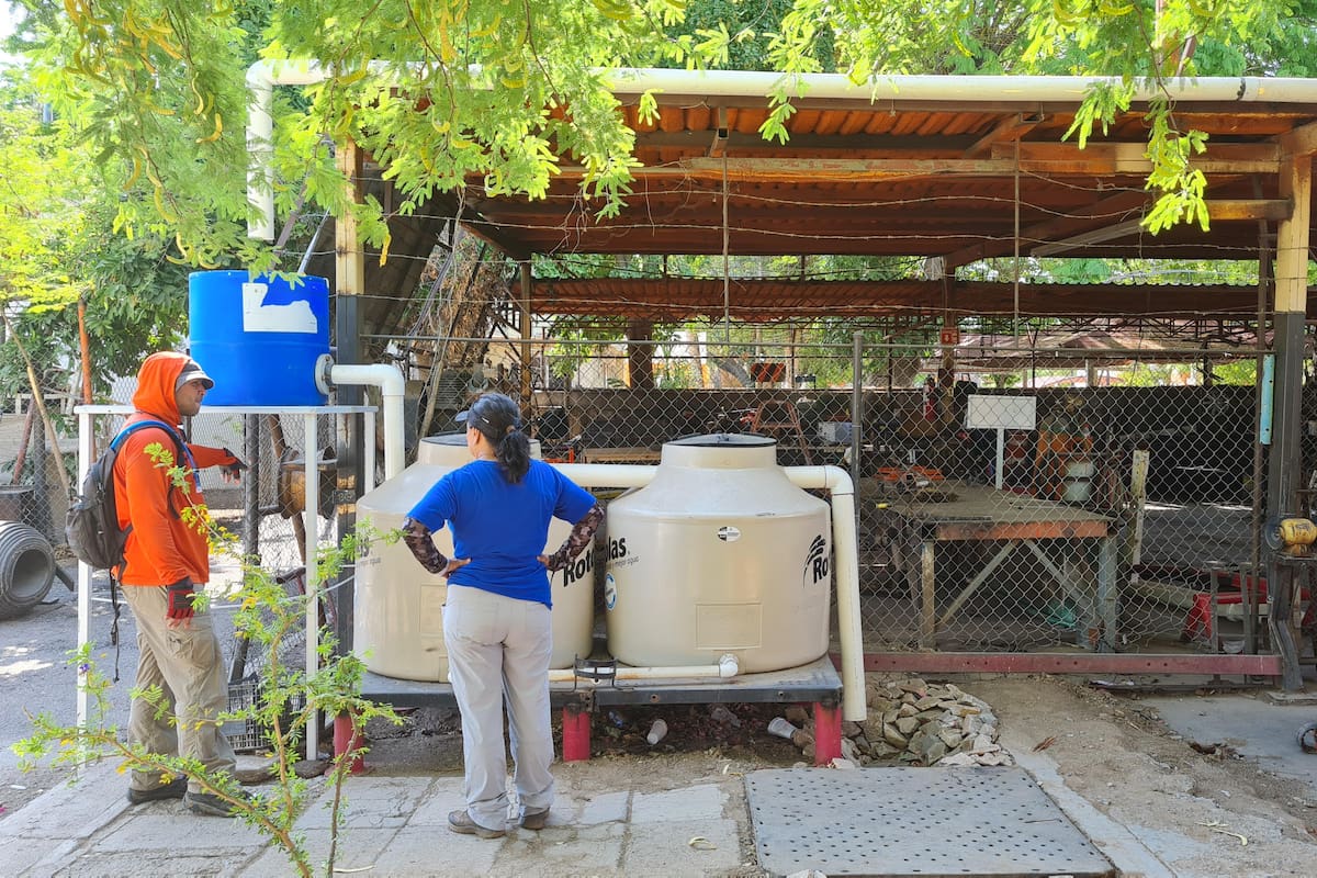 Plantean ambientalistas aprovechar mejor el agua de la lluvia