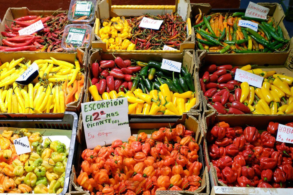 Beneficios de comer chile: variedades en México y cómo integrarlos a tu dieta diaria