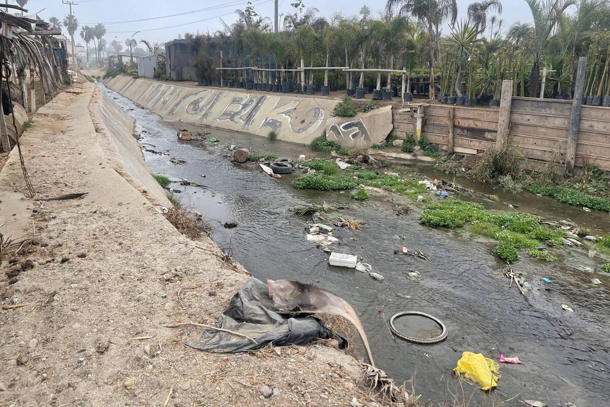 Programan jornada de limpieza en el arroyo Huahuatay