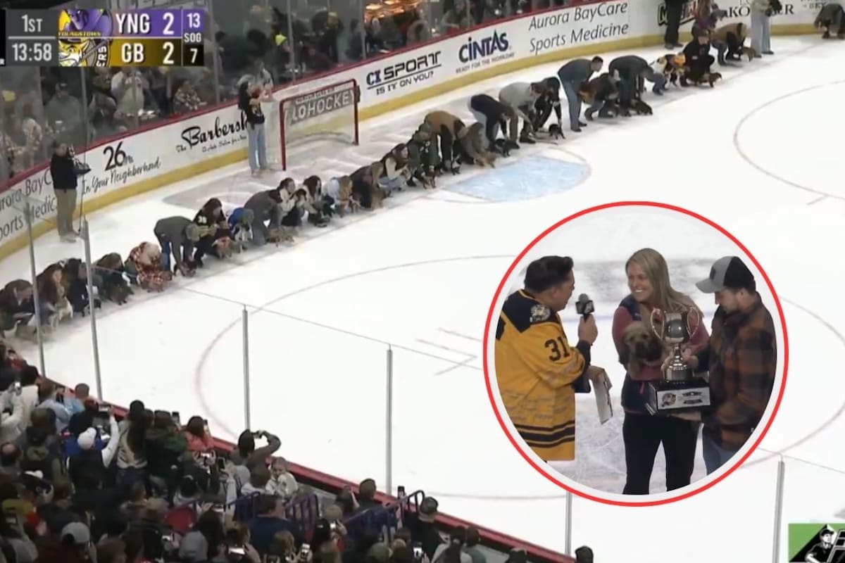 Más de 30 perros salchicha participaron en una peculiar carrera sobre hielo organizada para recaudar fondos contra el abandono animal y el evento se vuelve viral (VIDEO)